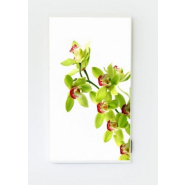 Panneau infrarouge lointain IRL 450W T-V - Chauffage pratique et facile d'utilisation avec thermostat digital_1