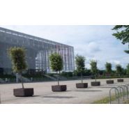 Iberis - Bacs à fleurs rectangulaires Hahn - Dimensions 110x70 et 140x110 cm - Hauteur variable_1