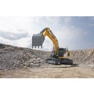 R 945 pelle de démolition_1