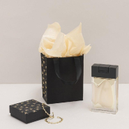 Sac luxe noir mat dorure à chaud Astera poignées ruban 11x6x14cm - par 12_1