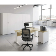 Meuble classeur compact et moderne pour un rangement efficace_1