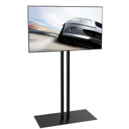 Ecran vitrine LG 55