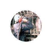 Microstrip - compresseur pour sablage - gritco - capacité de 18 à 100 litres_1