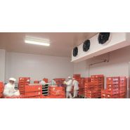 Évaporateur GHN - Guentner - capacité nominale avec pas d'ailettes de 4 à 12 mm - ventilateurs aspirants et longue portée d'air_1