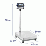 Balance à plateforme - 300 kg / précision 10 g - 40 x 50 cm_1