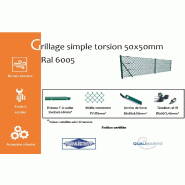 Grillage simple torsion maille 50x50mm Ral 6005 - 1800_1