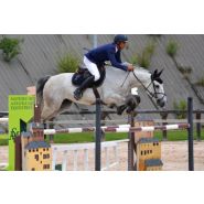 Clôture de carrière - horse stop - lice bois toubin clément modèle déporté, 2 lices - ref. Btcd2l_1