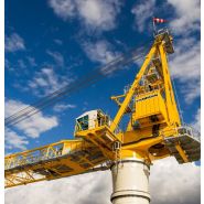 BOS 4200 - Grue portuaire offshore Liebherr - Capacité de levage max. 125t - Portée 72m_1