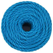 Vidaxl corde de travail bleu 14 mm 25 m polypropylène 152982_1