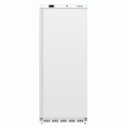Armoire réfrigérée négative Série C 600L CD615 Polar_1