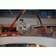 Mini grue araignée 506_1