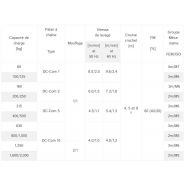 Dc-com - palan Demag Cranes & Components SAS - charge jusqu’à 2000 kg - commande par contacteurs 24V et deux vitesses de levage_1