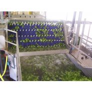 Bacdes20 - Dessableurs - Briand - largeur du bac 2000mm avec extracteur et système de régulation_2