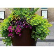 Jardinière urbaine Vanta - design en acier avec bacs amovibles galvanisés en option_1