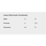 P6p-p8p - pompes centrifuges verticales - caprari - débit 50l/s_1