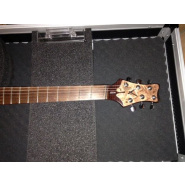 Flight Case pour guitare - découpe selon gabarit_1