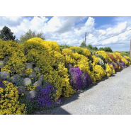 Mur de soutènement décoratif < à 1,70m - ATALUS 18