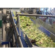 Pulstar - laveuses industrielles alimentaires - sormac - laveuse à salade_1