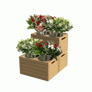 Expositeur fleur - Présentoir pour fleurs avec pots - Montage facile et plusieurs couleurs_2