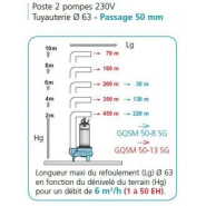 Poste relevage calidouble1000 2gqsm 50-8 - 304317_1