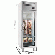 Armoire de maturation à viande grise avec 1 porte vitrée - L 687 mm_1