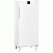 Armoire réfrigérée positive ventilée GN2/1 et HACCP - 419 L | Liebherr FRFvg 5501 Performance_1