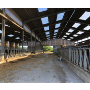 Bâtiment d'élevage pour bovin laitier sur mesure - Possibilité d'aménagement avec des logettes paillées - Ets Bobet_1