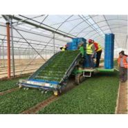 Récolteuse SLIDE TRAX VALERIANA - Hortech SRL - pour mâche en serres et plein champ - vitesse max 7 km/h_1