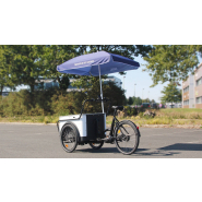 Triporteur professionnel robuste avec assistance électrique