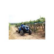 T4.110FL Bassotto - Tracteur agricole New Holland - 107 ch, idéal pour vergers et terrains irréguliers_1