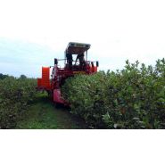 Récolteuse à baies VICTOR - Weremczuk - automotrice, productivité 0,3 à 0,6 ha/h - vitesse max 2 km/h_1