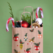 Sac kraft Enjoy naturel et rouge 18x8X22cm - par 50_1