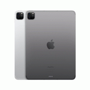 IPad Pro 11p M2 2To Wifi + Cellular - Argent_1