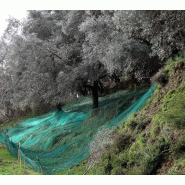 Filet de récolte Recoltex vert-noir - 6x8m - polyéthylène haute densité, maille rectangulaire, résistant aux UV et aux déchirures_1