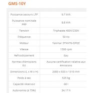 GMS-10Y - Groupe électrogène industriel 9,7 kVA - GENERAC - Série GMS Standard avec moteur diesel_1