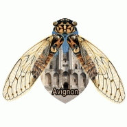 Magnet personnalisé cigale_1