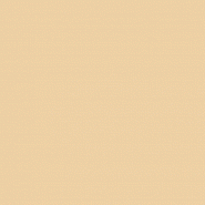 Revêtement d'étanchéité RIPOLIN - terrasse et balcon sable - 5L - colmate fissures et résiste aux intempéries_1