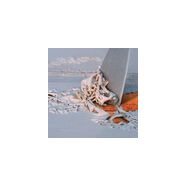 731.1.1 - Peinture de sol - Mathys - Action rapide et décapant efficace pour bois, métal et surfaces minérales_1