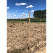 Grillage galvanisé - 1,2 m x 50 m - souple et rigide - mailles 2,5 cm x 2,5 cm - protection contre les lapins_1