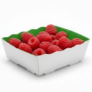 Barquette Carton Vert/Blanc 125g - Sans Impression - Lot de 1000_1