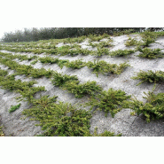 Paillage laine de mouton biodégradable 100% naturel* - 1.1m_1