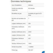 165311W - Armoire de sécurité coupe-feu G90.6 pour bouteilles de gaz - Norme EN 14470-2 - Résistance 90 minutes_1