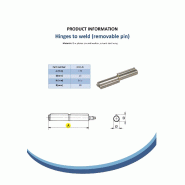 Charnière 120 mm Profil de chute en acier axe amovible soudable_1