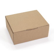 Boîte d'expédition simple cannelure brune 25x20x10cm - par 20 - Protection renforcée - Fabrication responsable_1