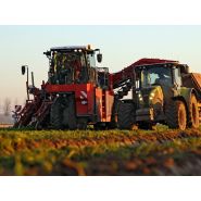 Arracheuse par préhension ZKIIS - Dewulf BV - productivité 3 à 4 ha/j - largeur totale 3290 mm - automotrice à 2 rangs avec élévateur de décharge_1