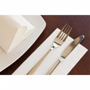Serviette Ecolabel  P. 1/8 'Double Point' 18G/M2 30x40cm blanc  ouate - par 1200_1