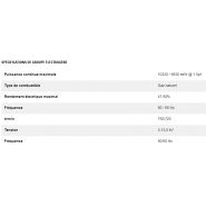 Gcm34 10 300 kw groupes électrogènes industriel à gaz - caterpillar -puissance continue maximale 10320 / 9830 ekw @ 1.0pf_1