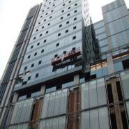 Nacelle suspendue ZLP1000 - capacité de charge 1000 kg - acier/aluminium - hauteur de levage 300m_1