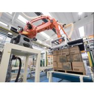 Raptor RCD 1 - Dépalettiseur pour cartons pleins - Clevertech France - préhension robotisée pour rangées 1050 mm x 1250 mm_1