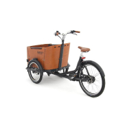 Triporteur électrique Babboe Go Mountain - moteur Yamaha, boîte Enviolo Nu Vinci, autonomie 20-50 km_1